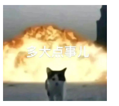 河北专升本如何合理的跨专业